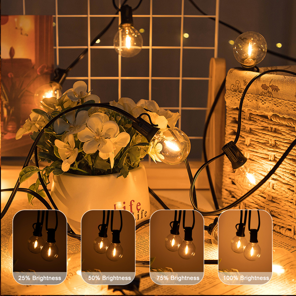 G40 LED Outdoor String Ball Li - Outdoor Lighting Socket review and price